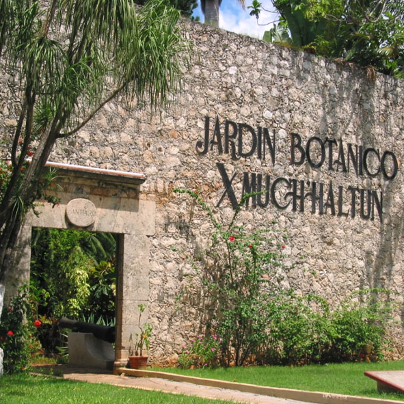 Jardín Botánico Xmuch-Haltún 